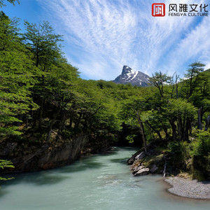 AV➕无码➕白丝➕高潮
